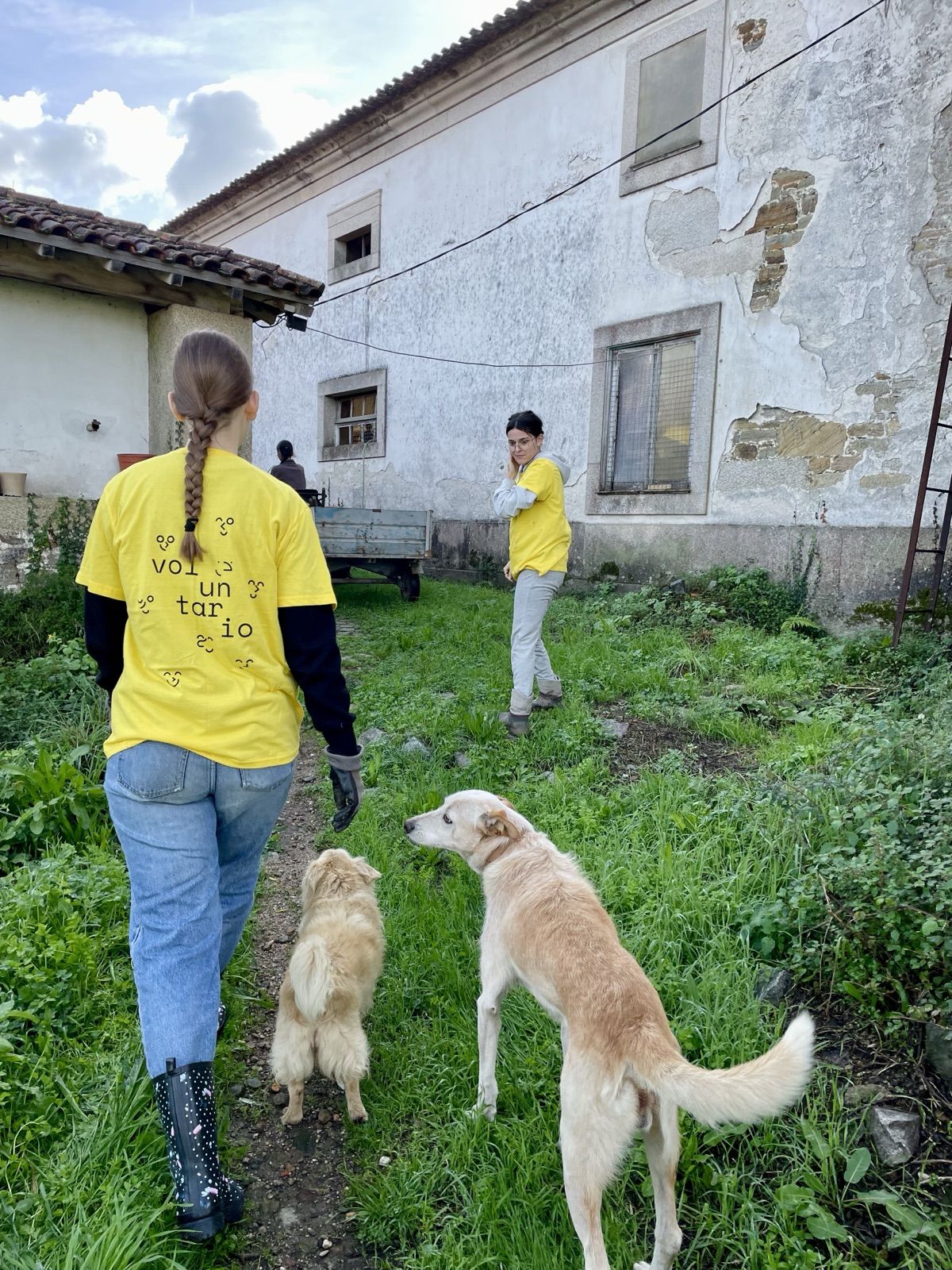 VO.U. pelos Animais