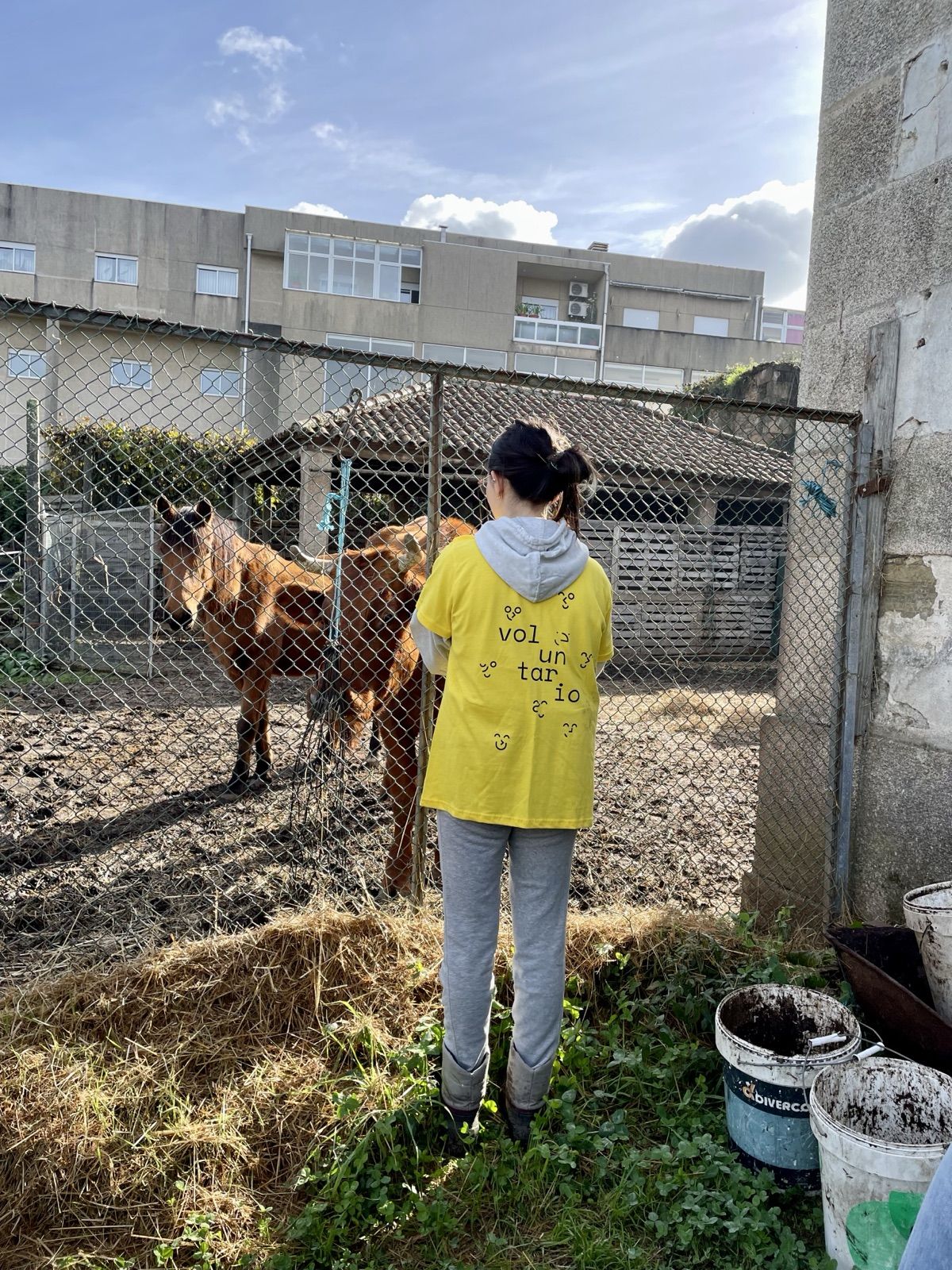 VO.U. pelos Animais